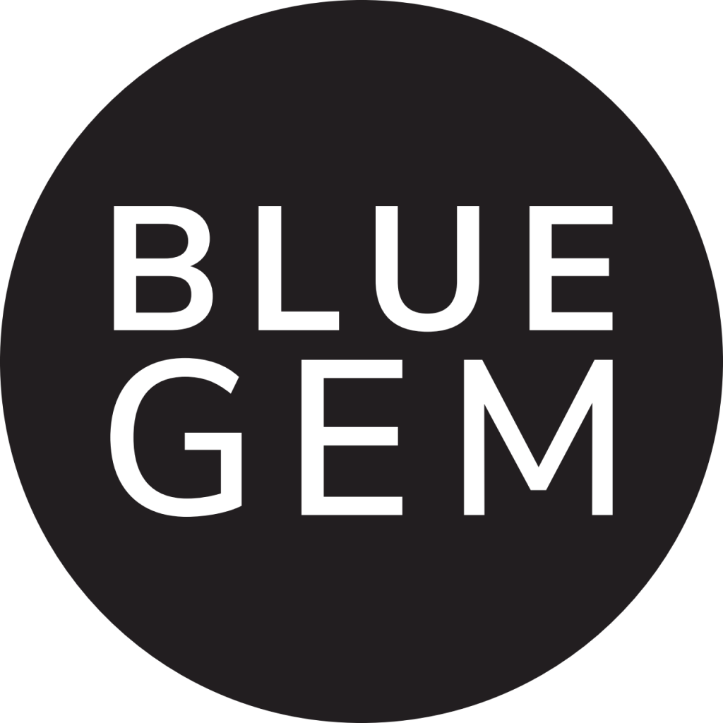 This image has an empty alt attribute; its file name is bluegem-1024x1024.png
